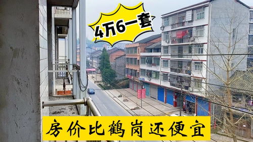 四川小城驚現(xiàn)4.6萬三室一廳，房?jī)r(jià)竟比鶴崗還低